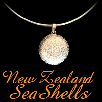 New Zealand Sea Shell Range